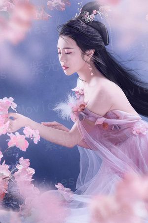 晚晚类卿