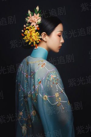 再战江湖国语