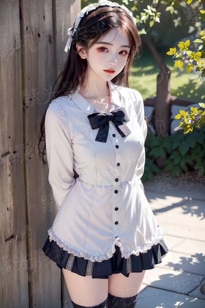 鸽之翼1